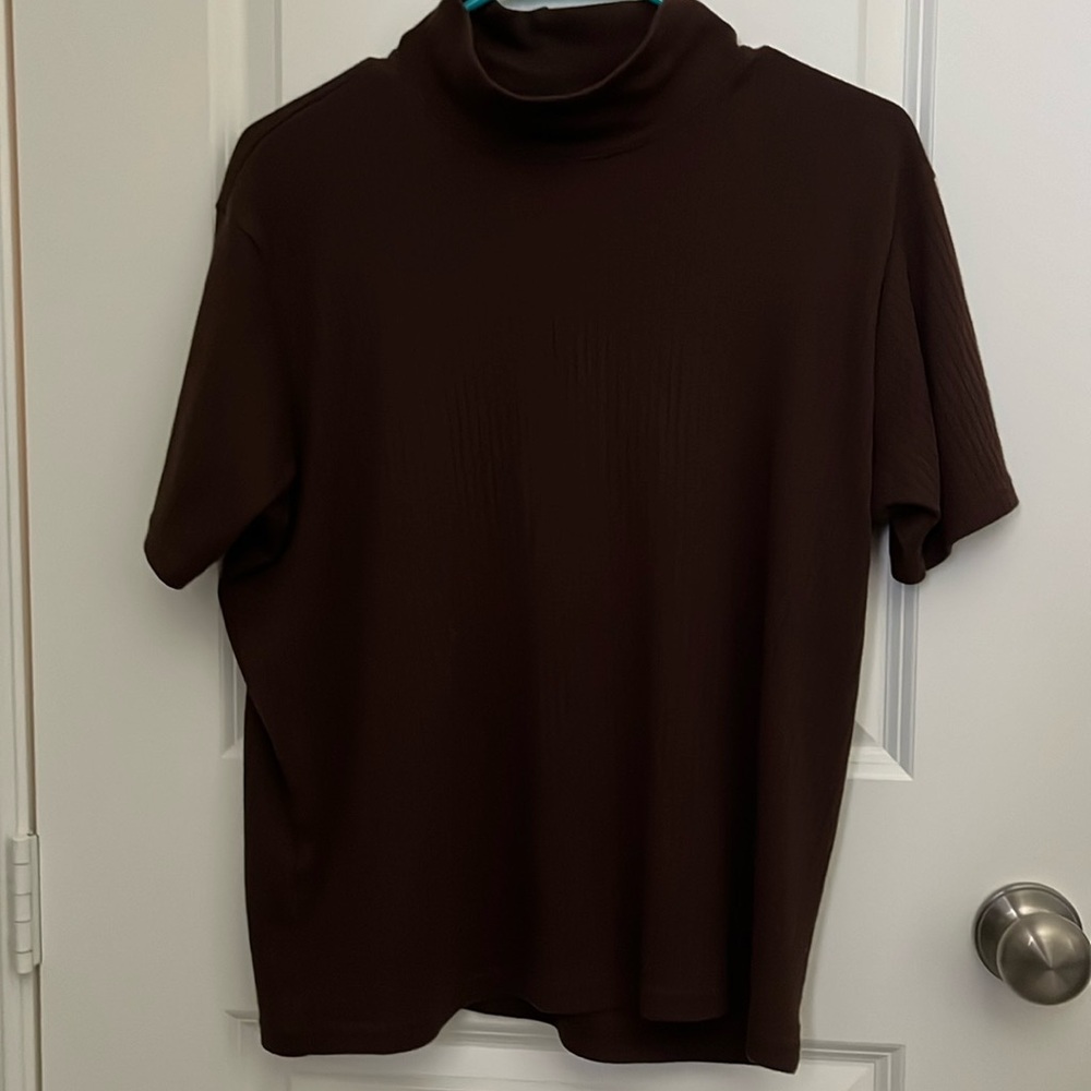 Brown Short Sleeved Turtle neck